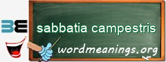 WordMeaning blackboard for sabbatia campestris